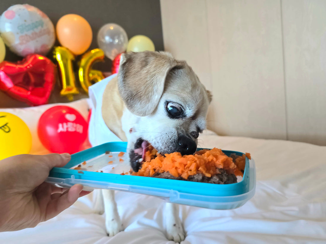 It's Chloe's 16th Birthday!