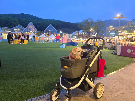 A Day At A Dog-Friendly Outlet Mall in South Korea